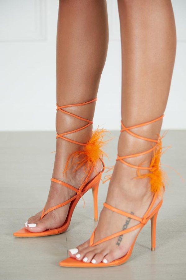 Casitayera.shop98dfd1b560 1