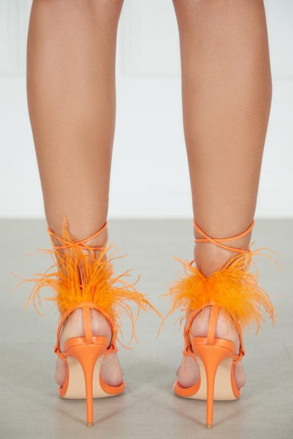 Casitayera.shop98dfd1b560 4