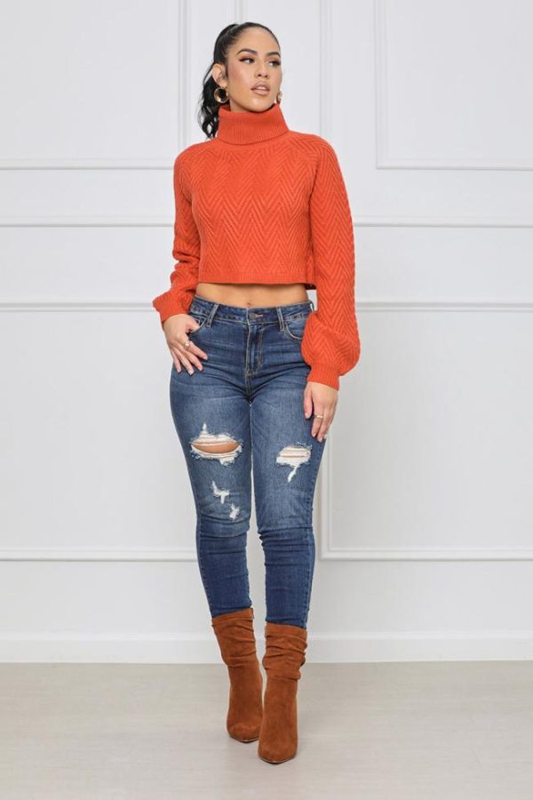 Casitayera.shopcc517ed36a 2